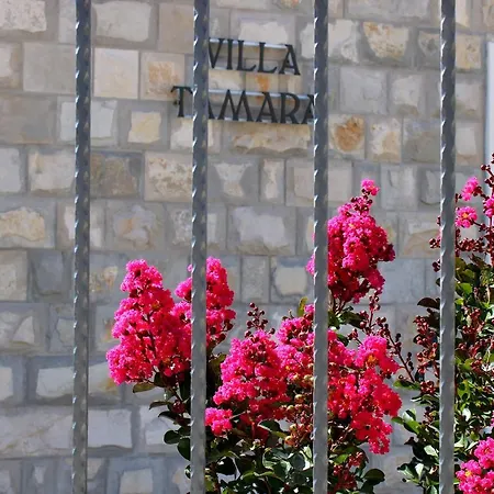 Вилла Luxury Tamara With Private Pool And Jet Pool Near Dubrovnik *